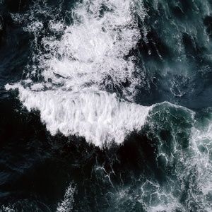 Free Shipping on my Mercari @asmoh